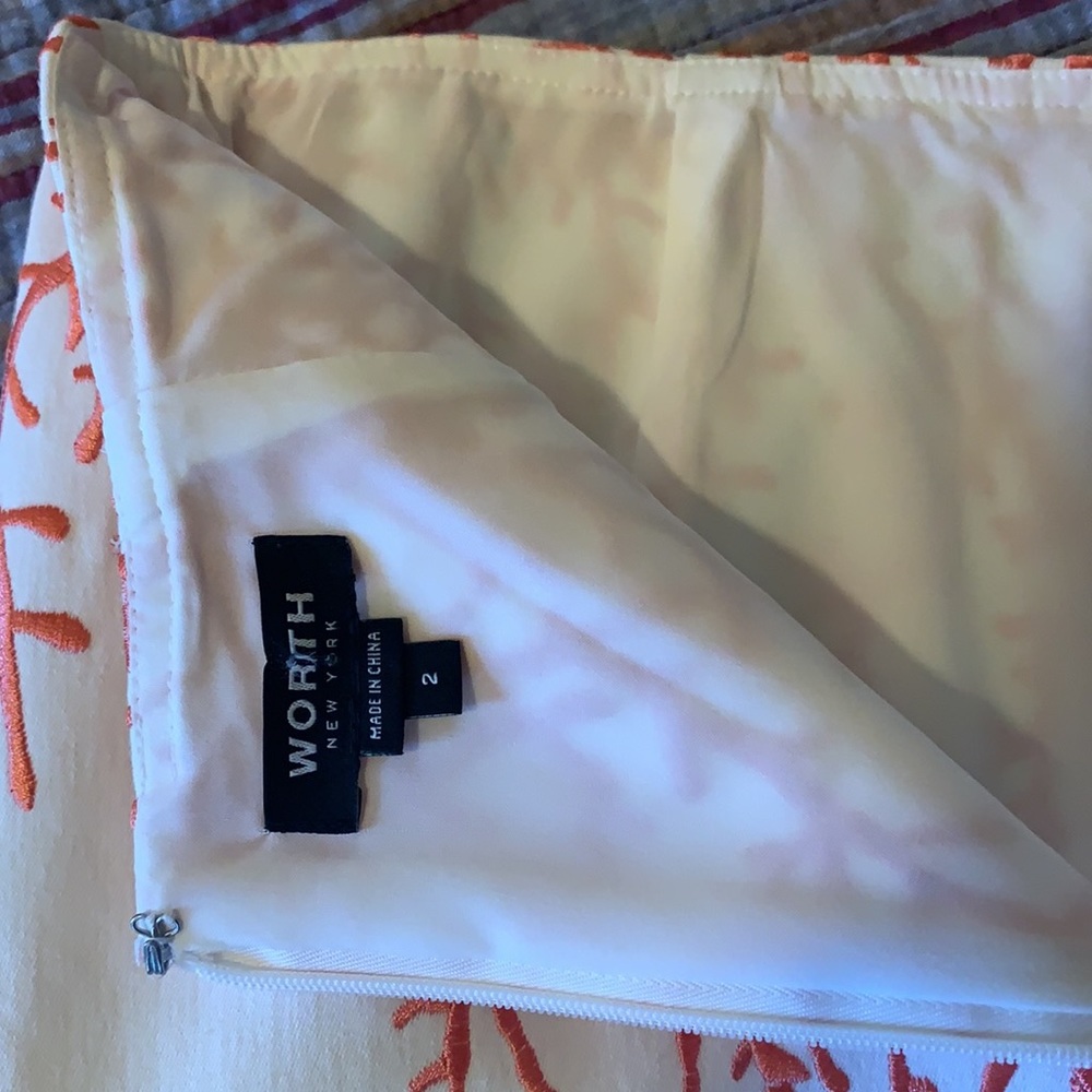 Beautiful Embroidered Lined Skirt Sz 2 - Picture 11 of 12